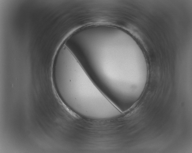 X0000074311333200608250955