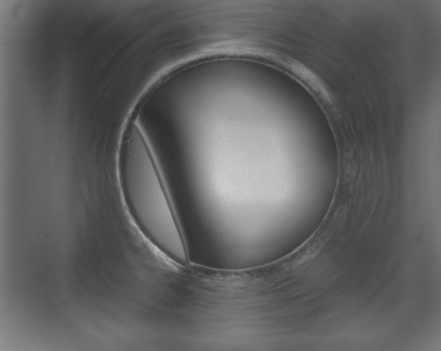 X0000074311334200608250955