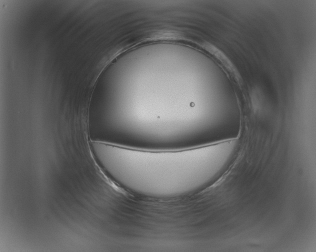 X0000074311337200608250955