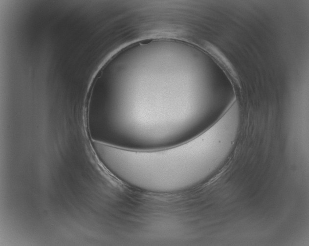X0000074311340200608250955