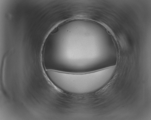 X0000074311341200608250955