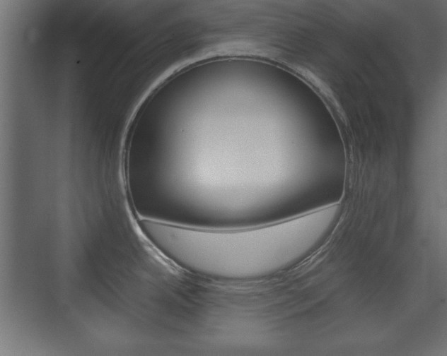 X0000074311342200608250955