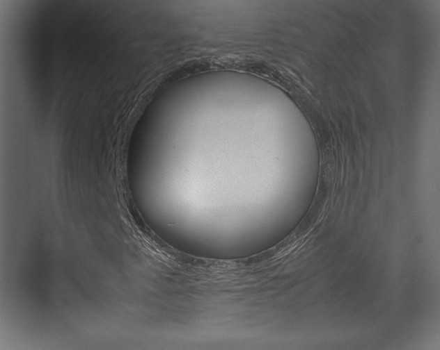 X0000074311345200608250954