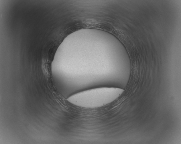 X0000074311346200608250954