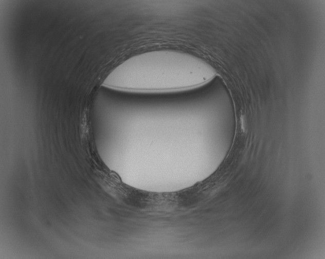 X0000074311347200608250954