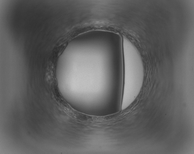 X0000074311349200608250954