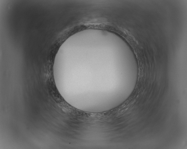 X0000074311350200608250954
