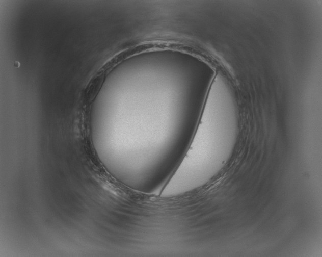 X0000074311352200608250954
