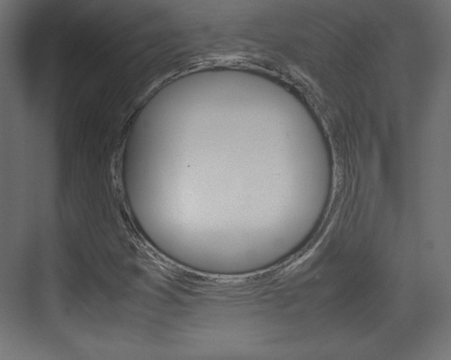 X0000074311353200608250954