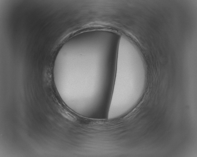 X0000074311355200608250954