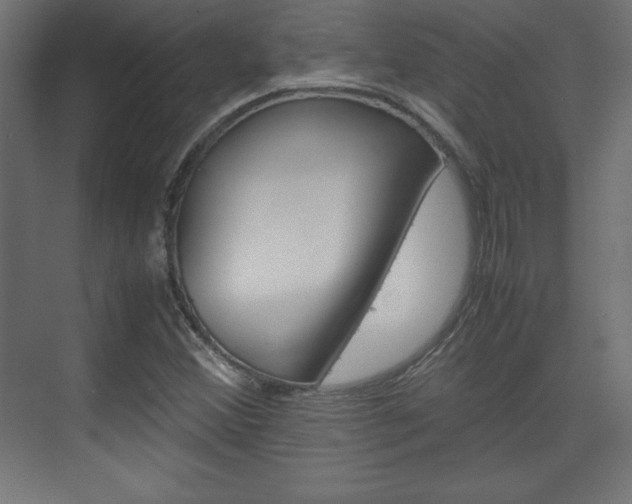 X0000074311356200608250954