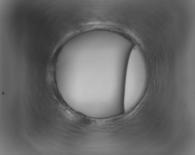 X0000074311357200608250954