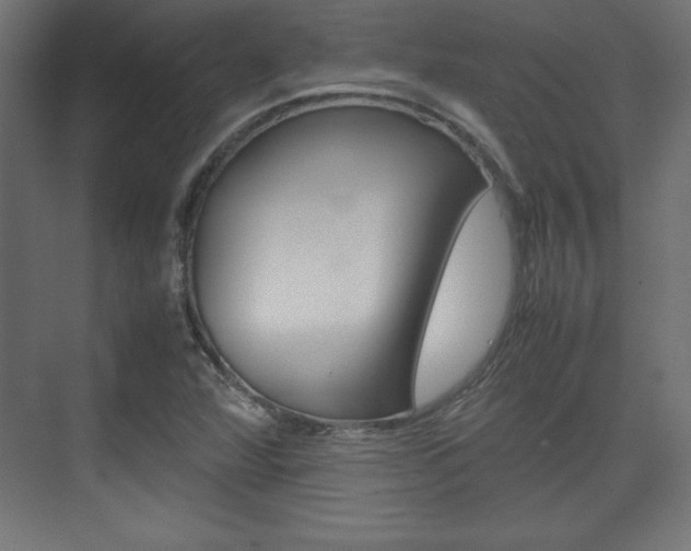 X0000074311360200608250954