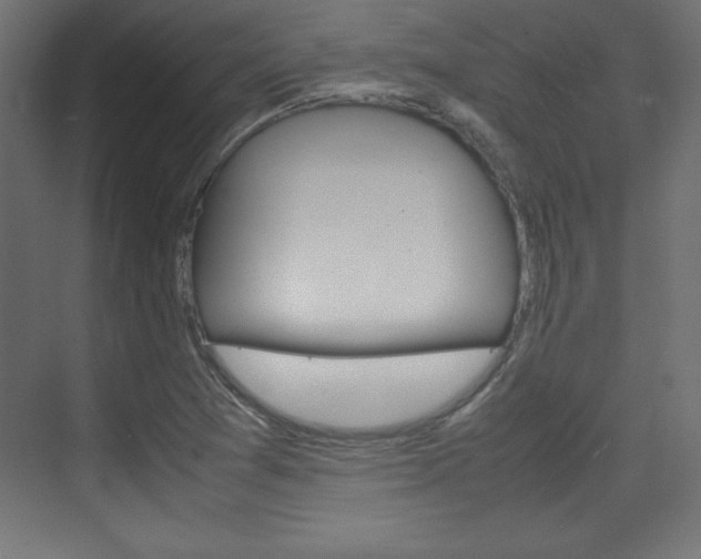 X0000074311361200608250954