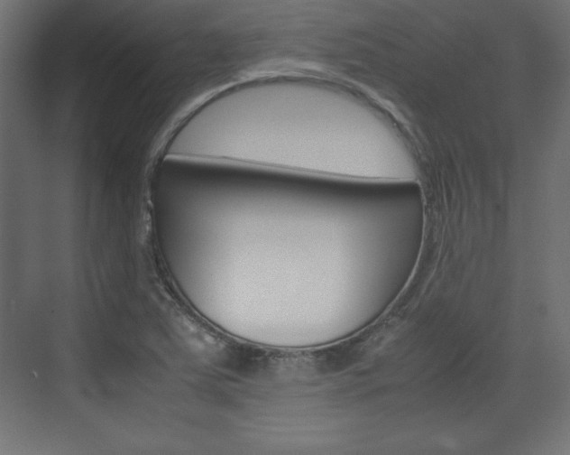 X0000074311363200608250954