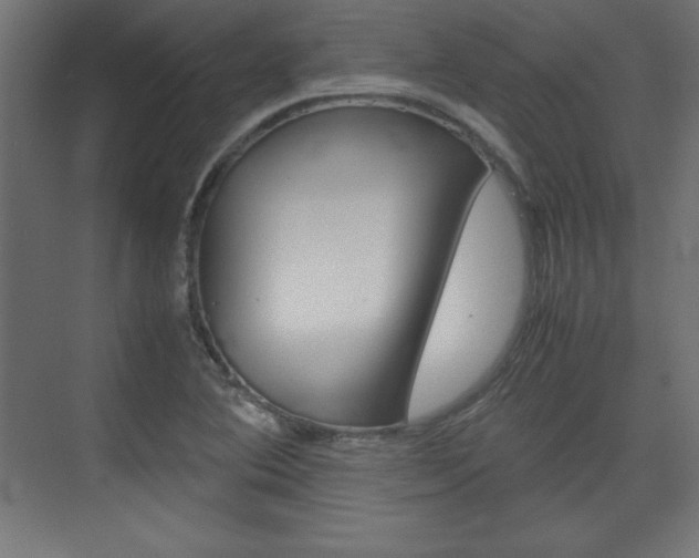 X0000074311364200608250954