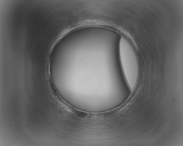 X0000074311365200608250954