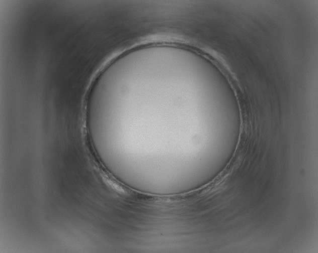 X0000074311366200608250954