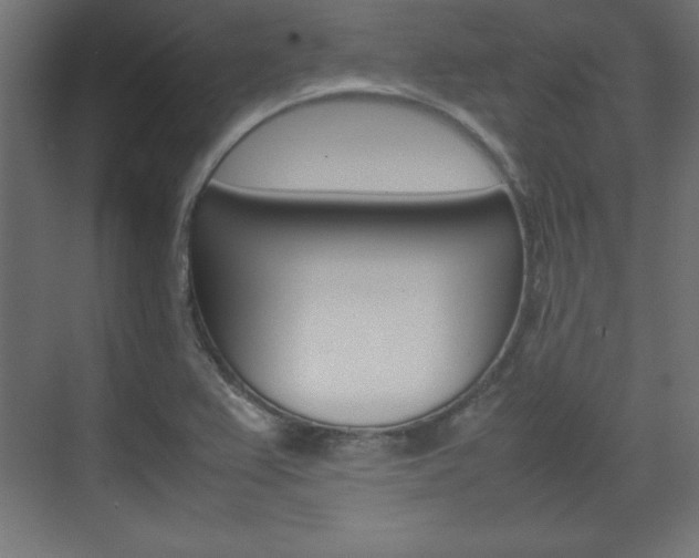 X0000074311367200608250954