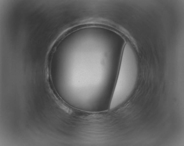 X0000074311368200608250954