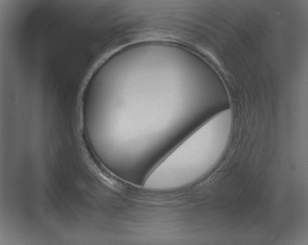 X0000074311371200608250954