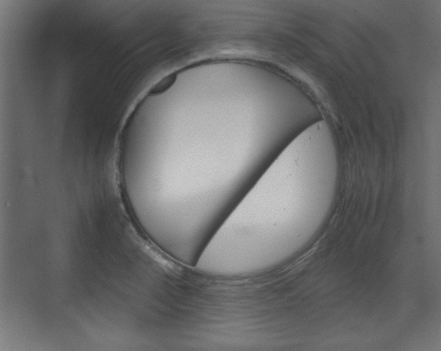 X0000074311374200608250953