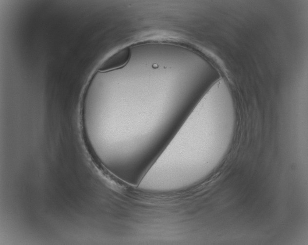 X0000074311375200608250953