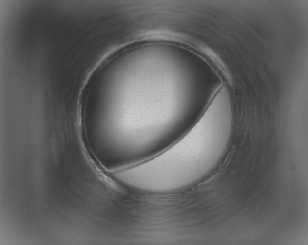 X0000074311376200608250953