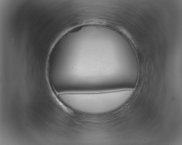 X0000074311379200608250953