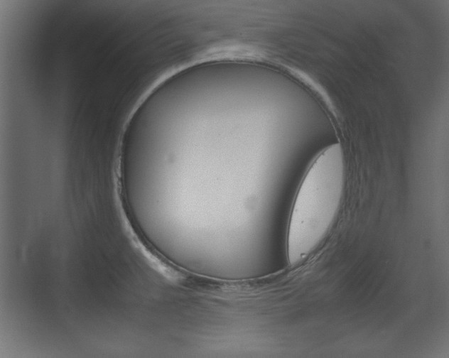 X0000074311383200608250953