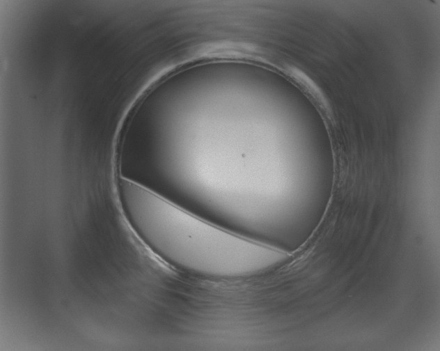 X0000074311384200608250953