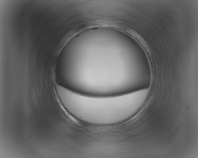 X0000074311385200608250953