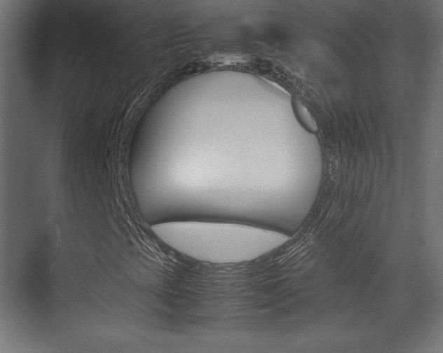 X0000074311393200608250952