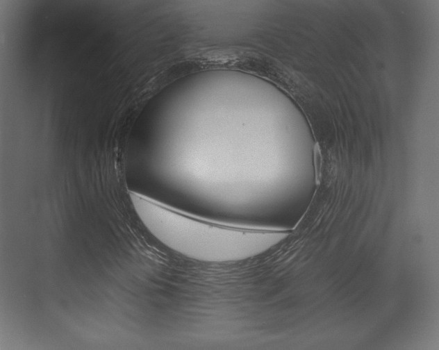X0000074311394200608250952