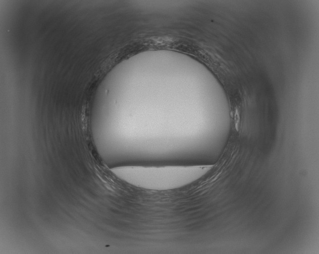 X0000074311395200608250952
