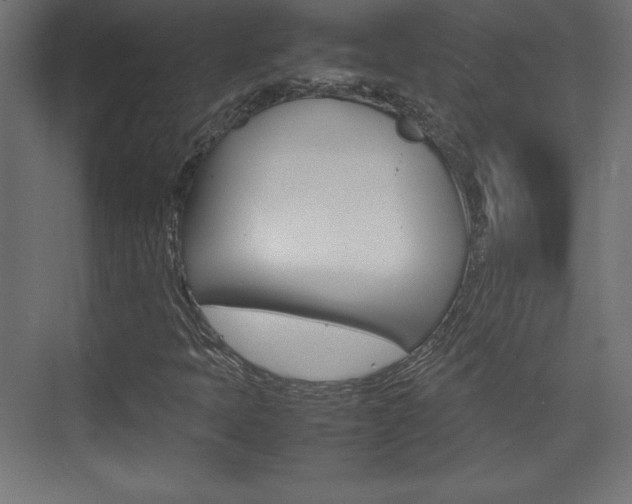 X0000074311397200608250952