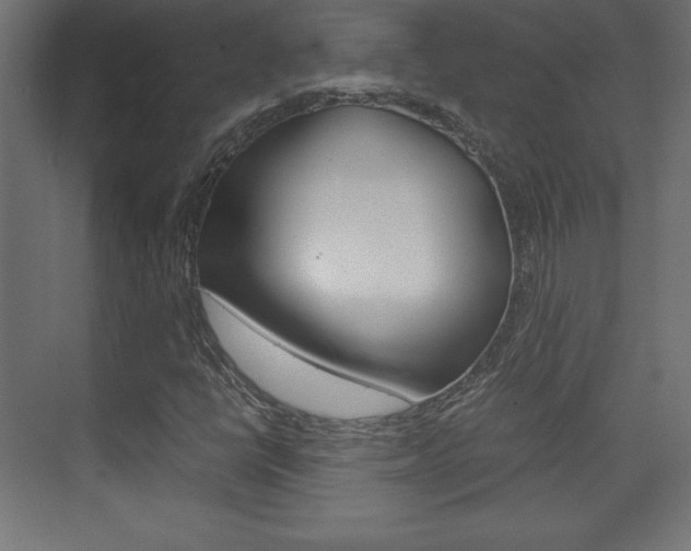 X0000074311398200608250952