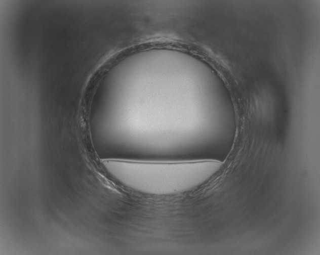 X0000074311400200608250952
