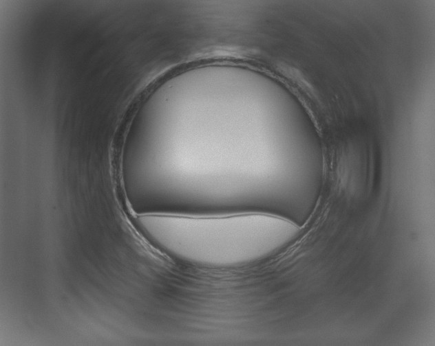 X0000074311404200608250953