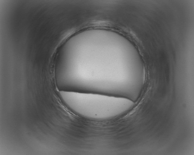 X0000074311405200608250953
