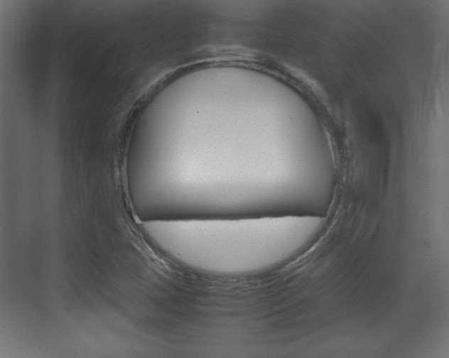 X0000074311407200608250953