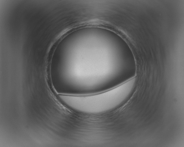 X0000074311410200608250953