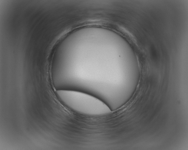 X0000074311411200608250953
