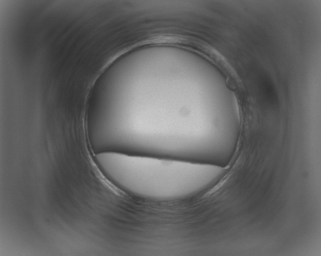 X0000074311417200608250953