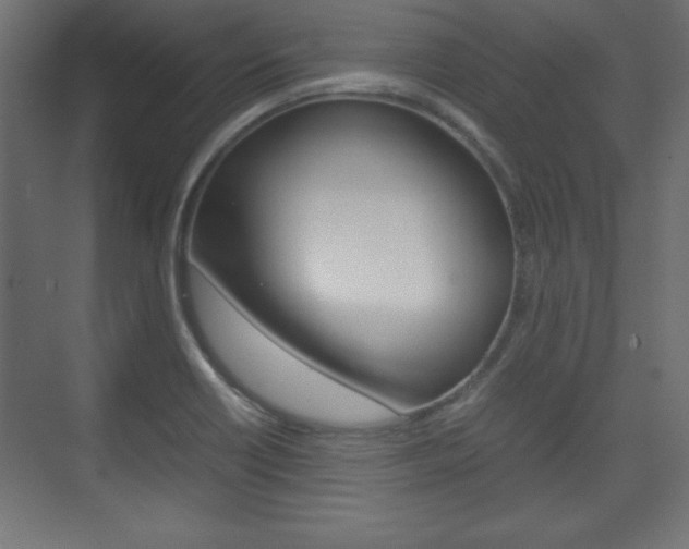 X0000074311418200608250953