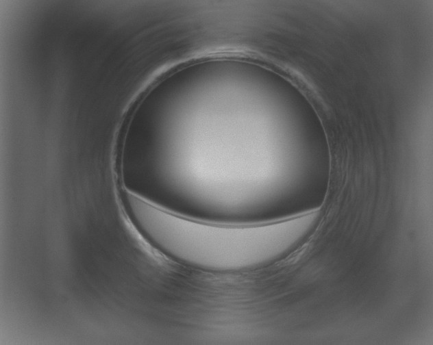 X0000074311422200608250953