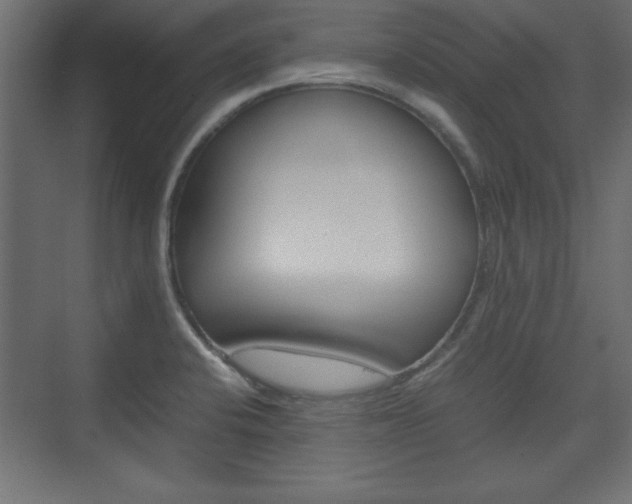 X0000074311424200608250953