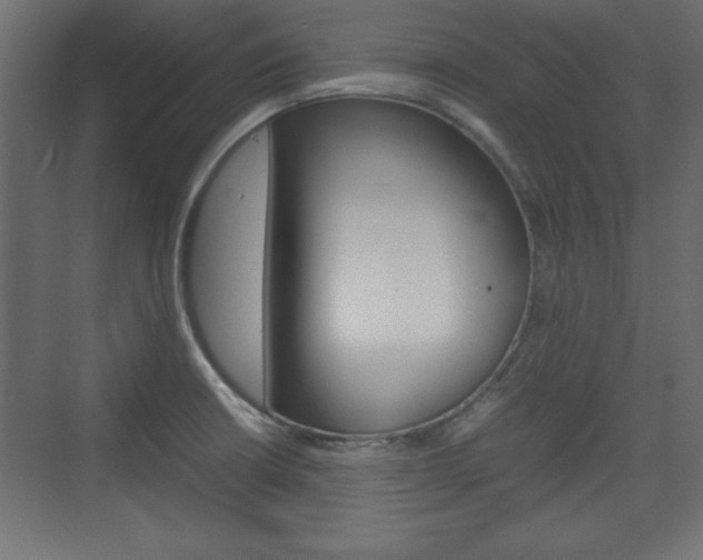 X0000074311426200608250953