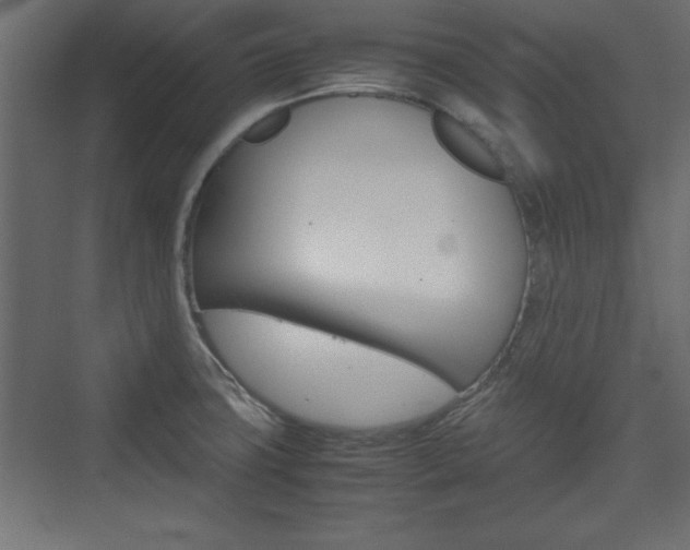 X0000074311427200608250953