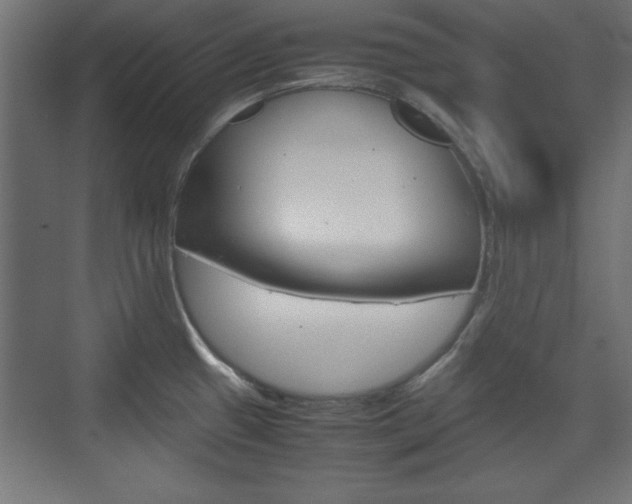 X0000074311433200608250953